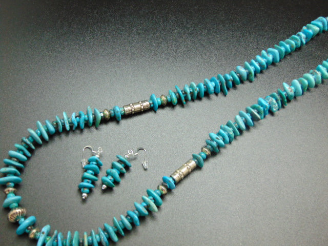 Blue Turquoise Necklace and Earrings