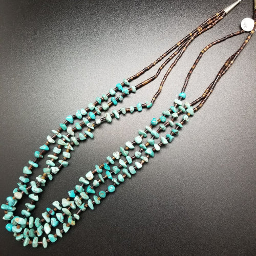 Turquoise Stone Necklace and Earrings